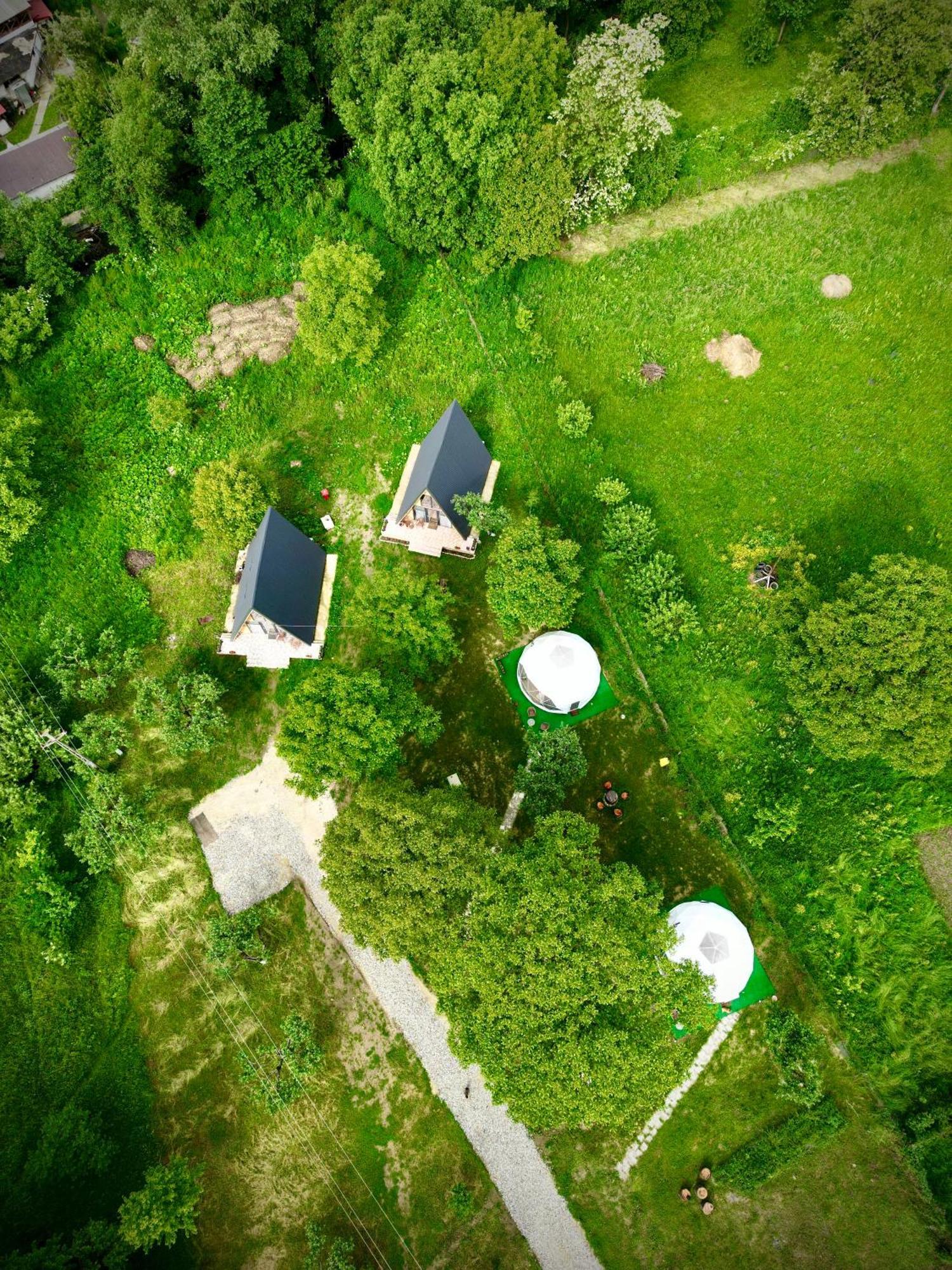The Frog Glamping Hotel Horezu Ngoại thất bức ảnh