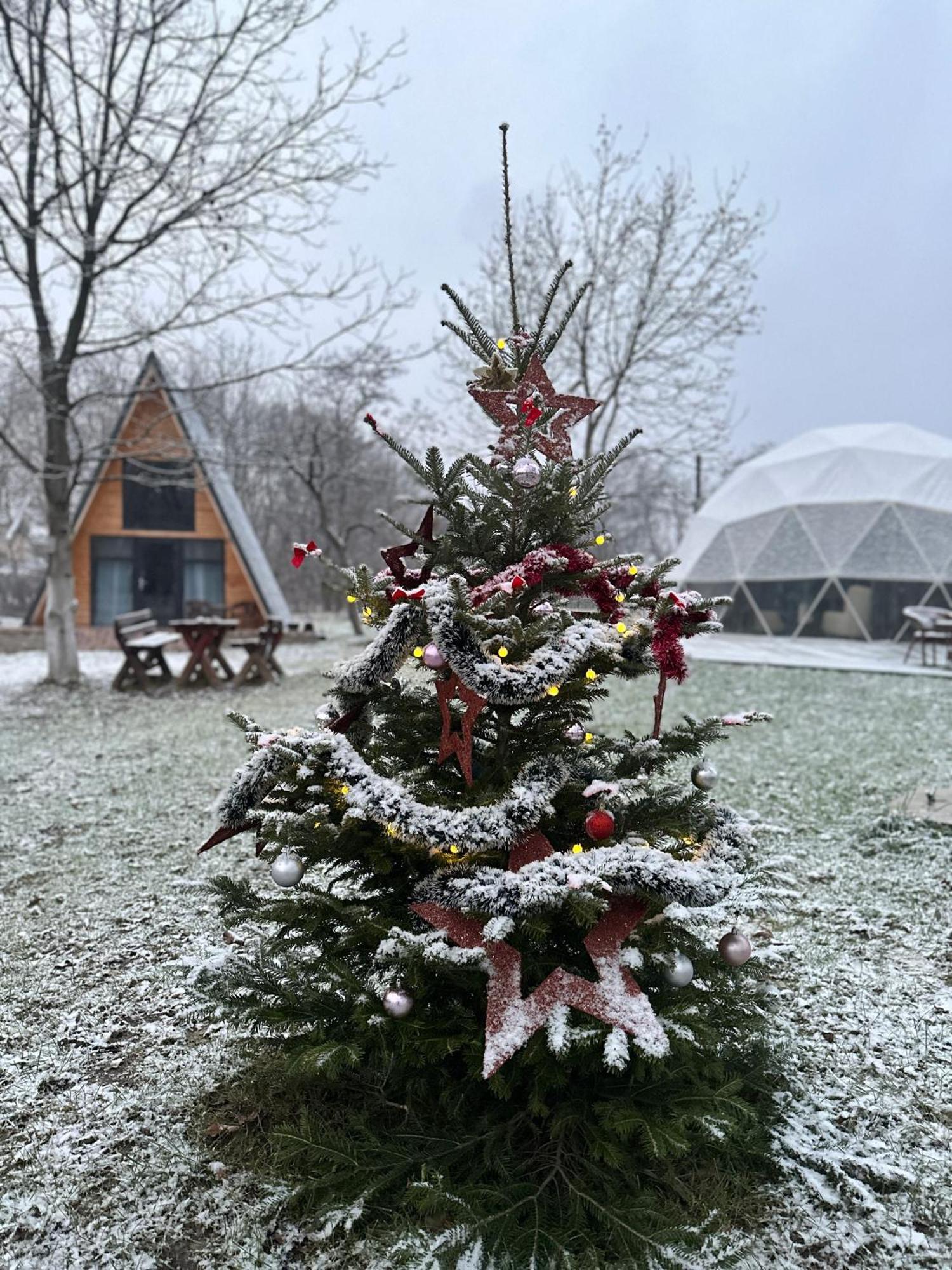 The Frog Glamping Hotel Horezu Ngoại thất bức ảnh