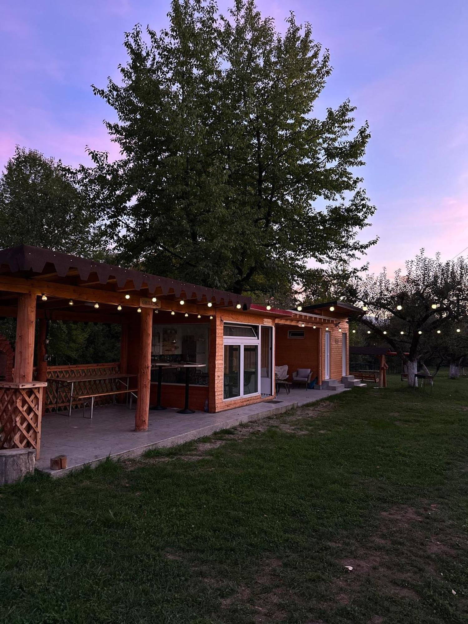 The Frog Glamping Hotel Horezu Ngoại thất bức ảnh